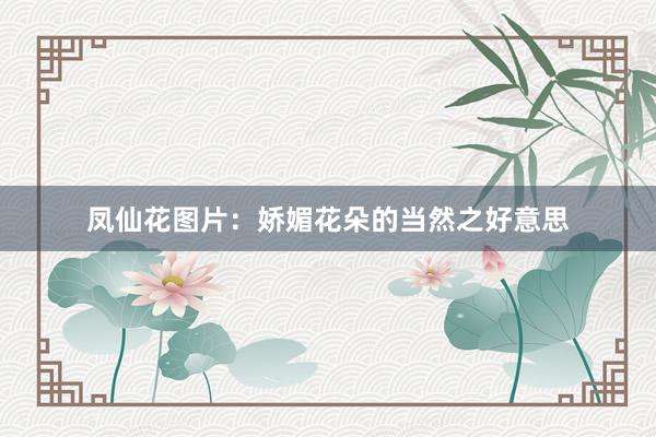 凤仙花图片：娇媚花朵的当然之好意思