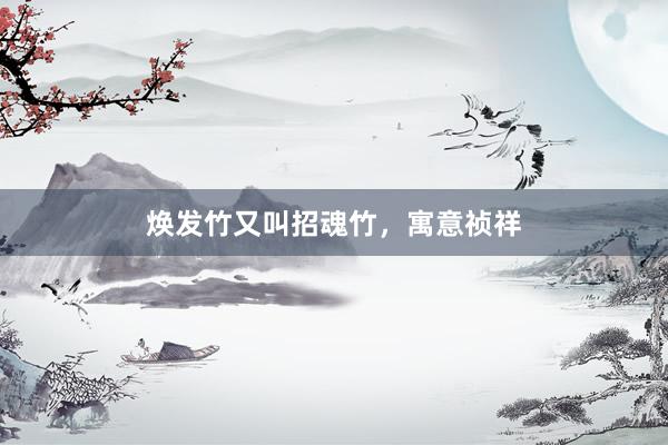 焕发竹又叫招魂竹，寓意祯祥
